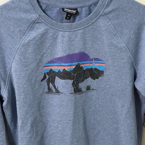 Patagonia Organic Cotton Sweatshirt Size M Excellent Condition, too small 4 me